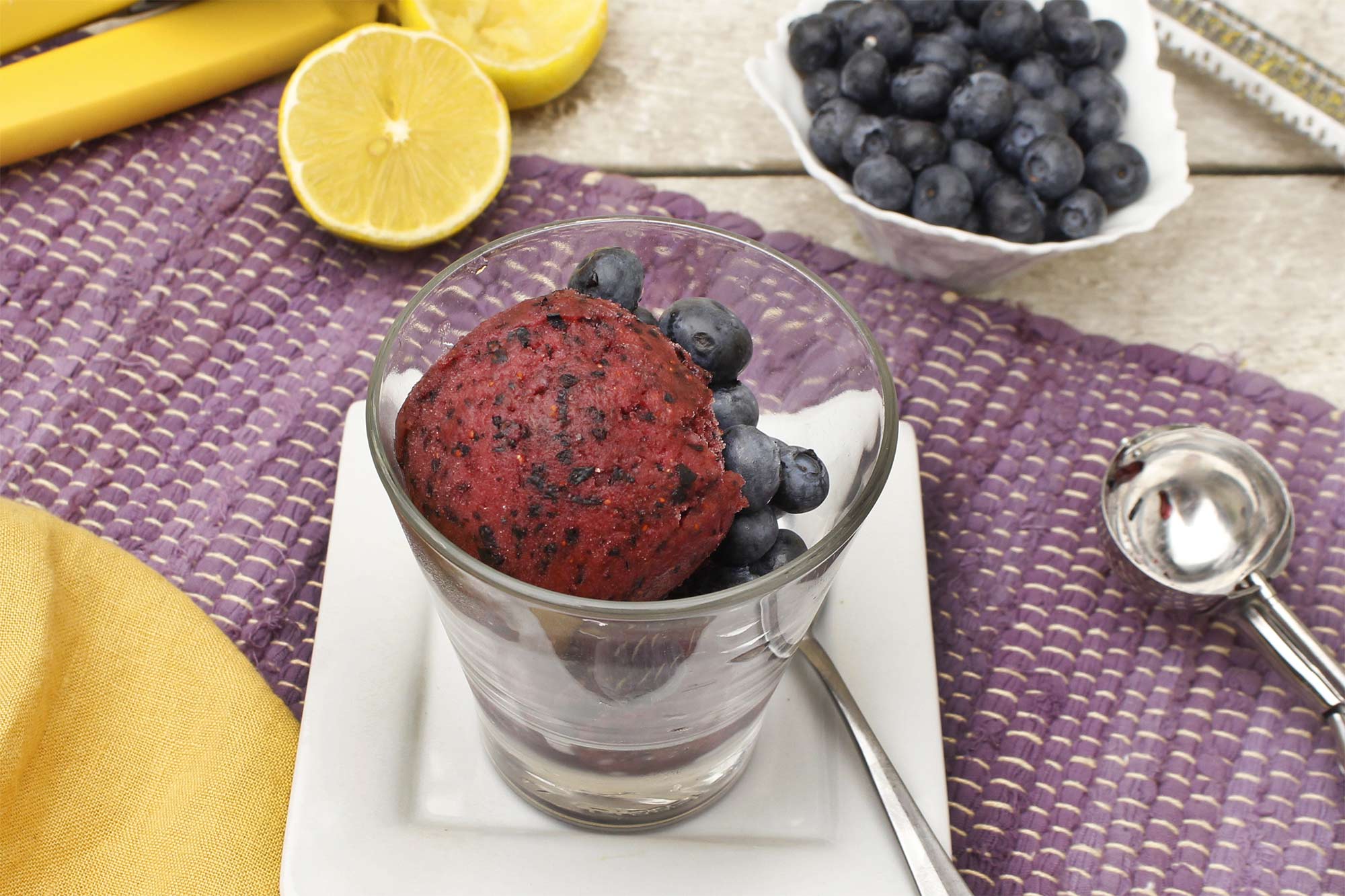 Lemony Blueberry Sorbet